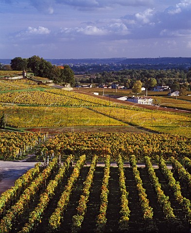 View over vineyard of Chteau Ausone to   Chteau Pavie Stmilion Gironde France