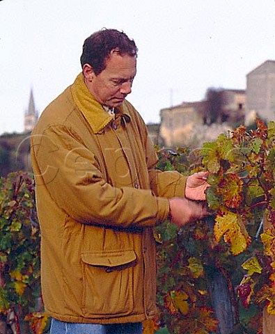 JeanLuc Thunevin examining the vines in one of the   parcels of Chteau de Valandraud   Stmilion Gironde France