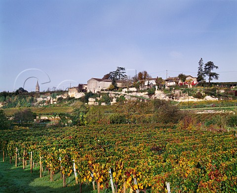 One of the vineyards of Chteau de Valandraud near Stmilion Gironde France Saintmilion  Bordeaux
