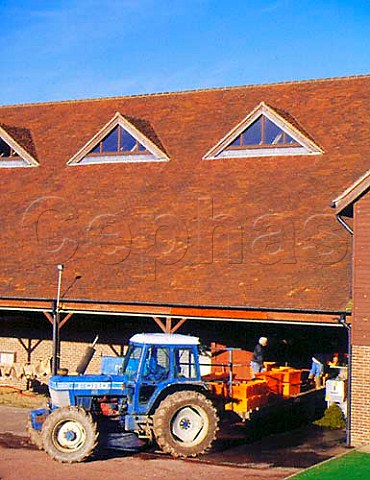 Unloading harvested Chardonnay grapes into the   crusher  destemmer   Denbies Wine Estate Dorking Surrey England