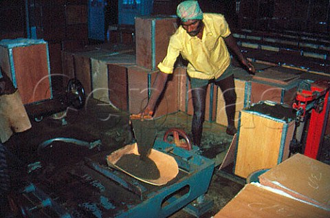 Packing the tea in wooden cases Labookellie Estate Sri Lanka