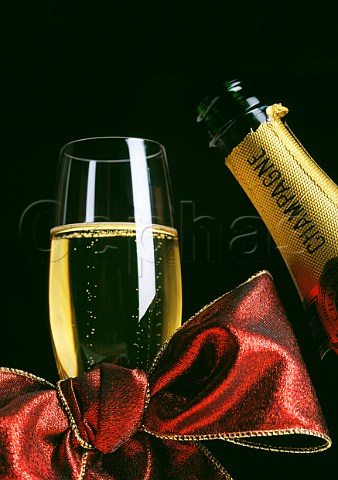 Festive Champagne