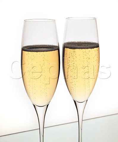 Two flutes of Champagne