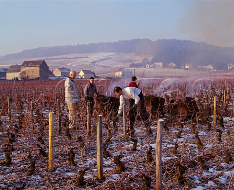 Jacques Seysses and his pruning team in   Clos de la Roche vineyard on a cold December morning   Domaine Dujac MoreyStDenis Cte dOr France    Cte de Nuits Grand Cru