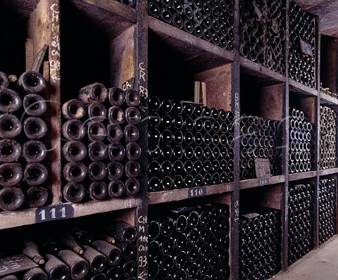 The vintage bottle cellar of Domaine Dujac MoreyStDenis Cte dOr France Cte de Nuits