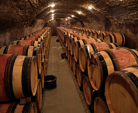 Barrel cellar of Domaine de la RomaneConti VosneRomane Cte dOr France