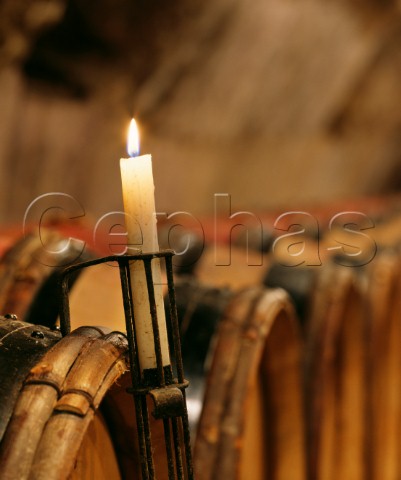 Barrel cellar of Domaine de la RomaneConti VosneRomane Cte dOr France