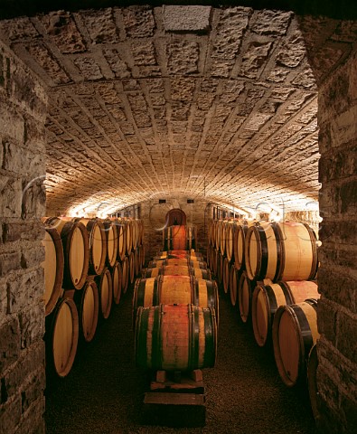 Barrel cellar of JeanFranois CocheDury   Meursault Cte dOr France