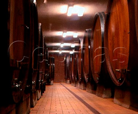 Botti in the cellars of Cantina Giacomo Conterno   Monforte dAlba Piemonte Italy   Barolo