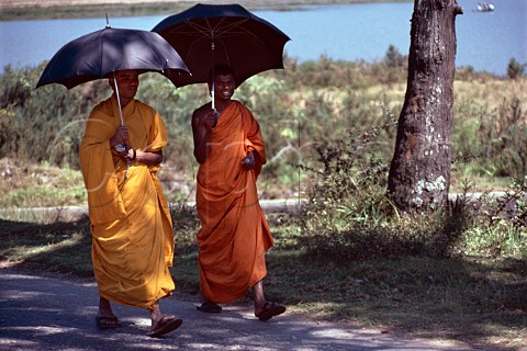 Buddhist Monks Nuwara Eliya Sri Lanka