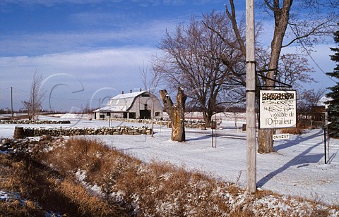 Vignoble de lOrpailleur Estrie  Quebec province Canada