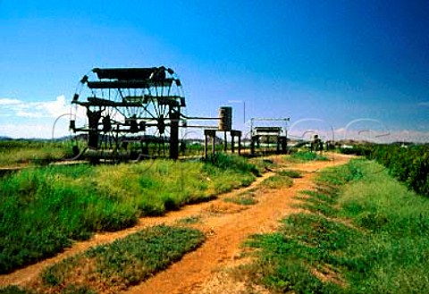 Irrigation mills by vineyards in the   Orange River Valley Kakamas Northern Cape South Africa  Klein Karoo