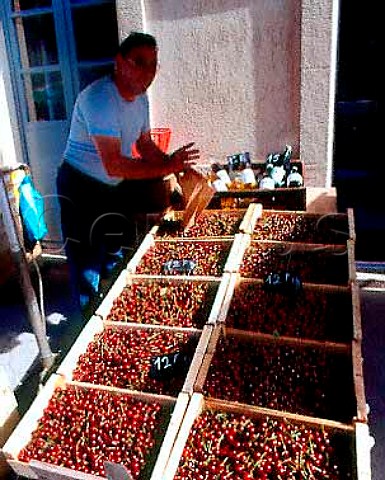 Cherries for sale in Caylus Market TarnetGaronne  France MidiPyrnes