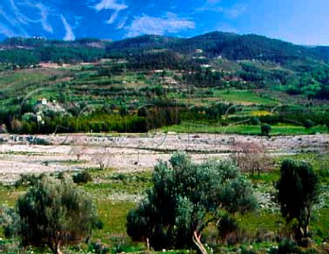 View across the Diarizos Valley to the chapel of   Agios Savvas surrounded by vineyards   near Agios Georgios Paphos Disrict Cyprus