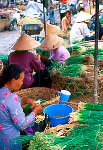 Spring onions for sale in market   Saigon Vietnam
