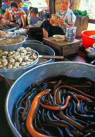 Eels and shellfish for sale Saigon   Vietnam