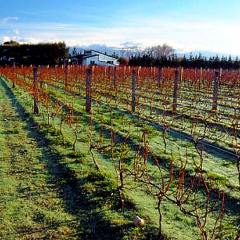 Chifney Wines Martinborough New Zealand   Wellington