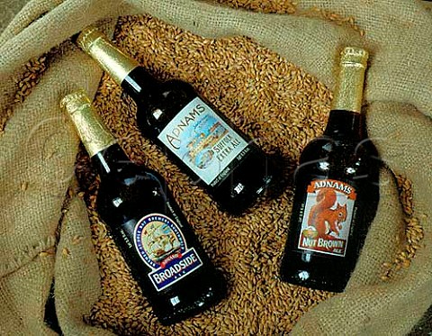 3 Adnams Ales  Suffolk Extra Broadside and  Nut   Brown