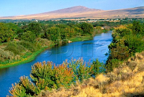 Yakima River the lifeblood of a rich agricultural   valley for vineyards and orchards Benton City   Yakima Valley Washington  USA