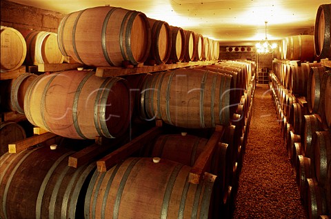 Red Wine barrels in the cellar of Spice   Route Winery Malmesbury South Africa     Swartland