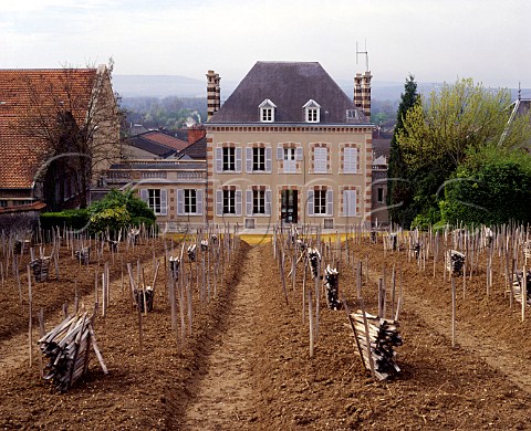 Clos des Chaudes Terres vineyard in early spring  a tiny vineyard 21 ares planted entirely en foule  is actually the back garden of Maison Bollinger The Pinot Noir grapes from the ungrafted vines are used in their Vieilles Vignes Franaises  Ay Marne France   Champagne