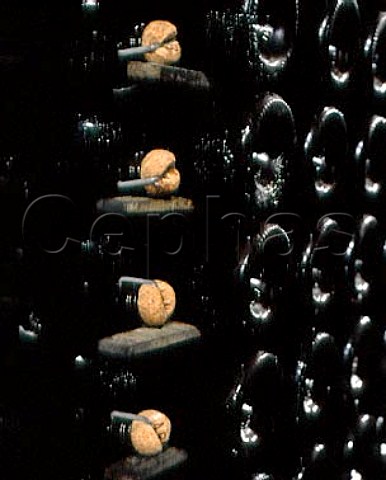 Champagne ageing sur lattes in the cellars of   Alfred Gratien Corks rather than crown capsare   traditionally used by this house for the second   fermentation  pernay Marne France