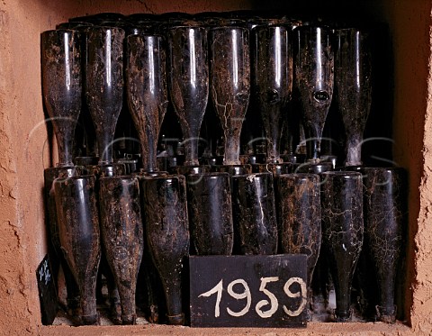 Bottles of 1959 in the wine library of   Champagne Salon Le MesnilsurOger Marne France
