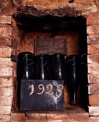 Bottles of 1928 in the wine library of   Champagne Salon Le MesnilsurOger Marne France