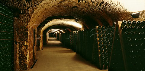 Bottles of Champagne in pupitres and sur lattes in cellar of Mot  Chandon pernay Marne France