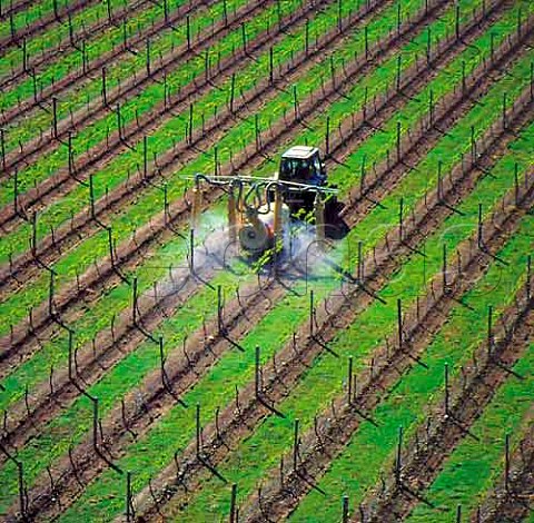 Spraying the vines in early spring on   Montanas Brancott Estate Marlborough  New Zealand