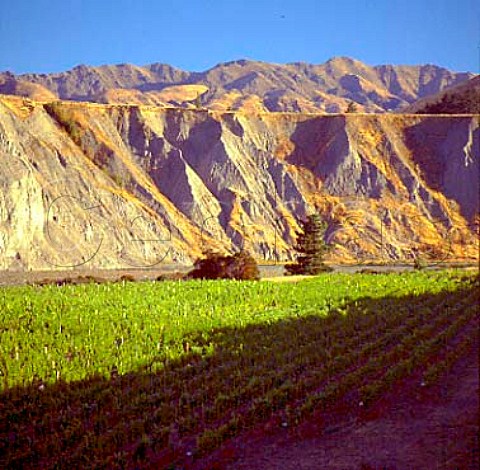 Medway River Vineyard of The Crossings in the Awatere Valley Marlborough New Zealand