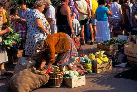 Vegetable stall at Nova Huta Market   Krakow Poland