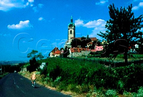 The Chateau and its terraced vineyards   at Melnik Bohemia Czech Republic