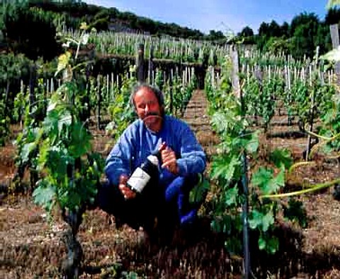 Thierry Allemand with a bottle of his Cornas Le   Renard amidst the old Syrah vines   of the vineyard from which it comes  Cornas Ardche France   AC Cornas