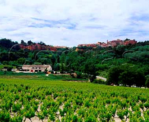 Vineyard of Chteau Blanc below the   ochrecoloured village of Roussillon   Vaucluse France   AC Ctes du Lubron
