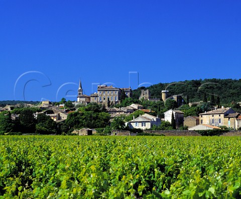 Vineyard at Rochegude Drme France      AC Ctes du RhneVillages