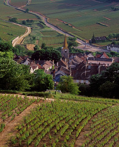 View down to PernandVergelesses with beyond  en Caradeux vineyard right and the lower  slopes of Corton Charlemagne left  Cte dOr France   Cte de Beaune