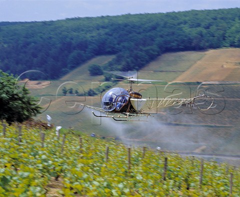 Helicopter spraying vines on the hill of Corton   PernandVergelesses Cte dOr France   AC CortonCharlemagne