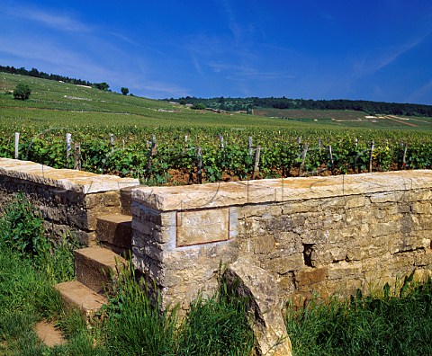 Plaque in the wall at the corner of Domaine de la RomaneConti RomaneConti vineyard VosneRomane Cte dOr France