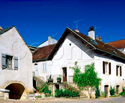 Offices of Domaine Bonneau de Martray in  PernandVergelesses Cte dOr France