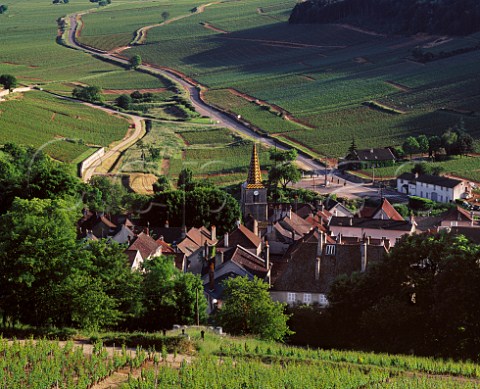 View down to PernandVergelesses and   beyond on the right of the road En Caradeux and Ile des Vergelesses vineyards   Cte dOr France