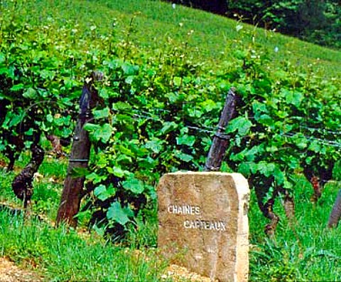 Marker stone for Chanes Carteaux vineyard   NuitsStGeorges Cte dOr France  Cte de Nuits Premier Cru