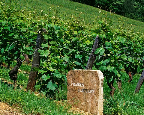 Marker stone in Chanes Carteaux vineyard NuitsStGeorges Cte dOr France Cte de Nuits Premier Cru