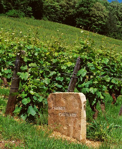 Marker stone in Chanes Carteaux vineyard NuitsStGeorges Cte dOr France Cte de Nuits Premier Cru