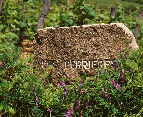 Marker stone in Les Perrires vineyard   NuitsStGeorges Cte dOr France  Cte de Nuits Premier Cru