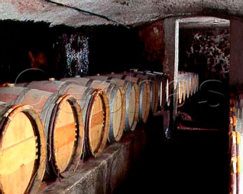 Barrel cellar of Domaine Georges Vernay   Condrieu Rhne France