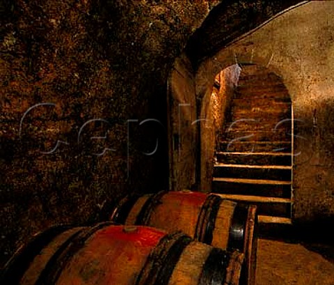 Barrel cellar of Thierry Allemand Cornas Ardche   France   Cornas