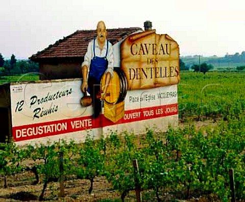 Sign for Caveau des Dentelles the cooperative at   Vacqueyras Vaucluse France