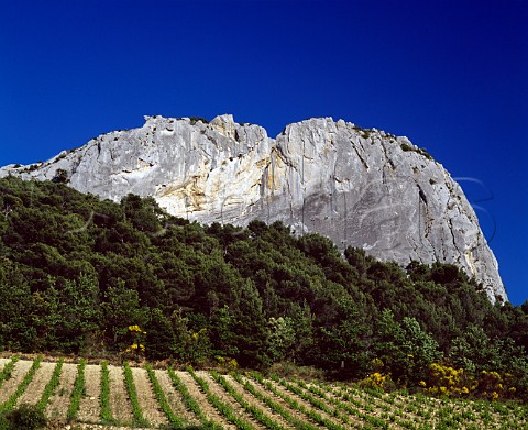 Vineyard of Domaine de Cassan high in the Dentelles   de Montmirail Gigondas Vaucluse France     Gigondas  BeaumesdeVenise  Ctes du   RhneVillages