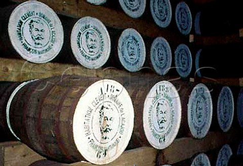 Barrels of rum at Habitation Clment   Distillery Martinique Windward Islands   Lesser Antilles Caribbean